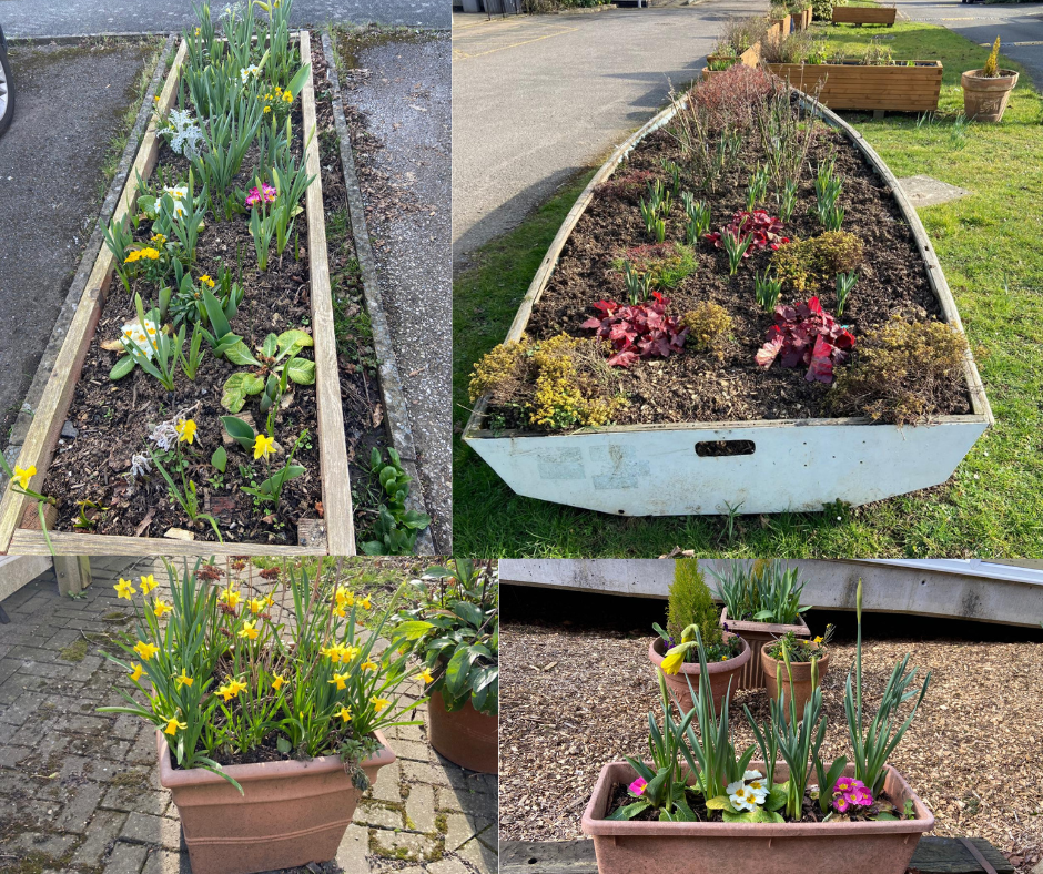 Various sizes and shapes of planters with Spring flowers