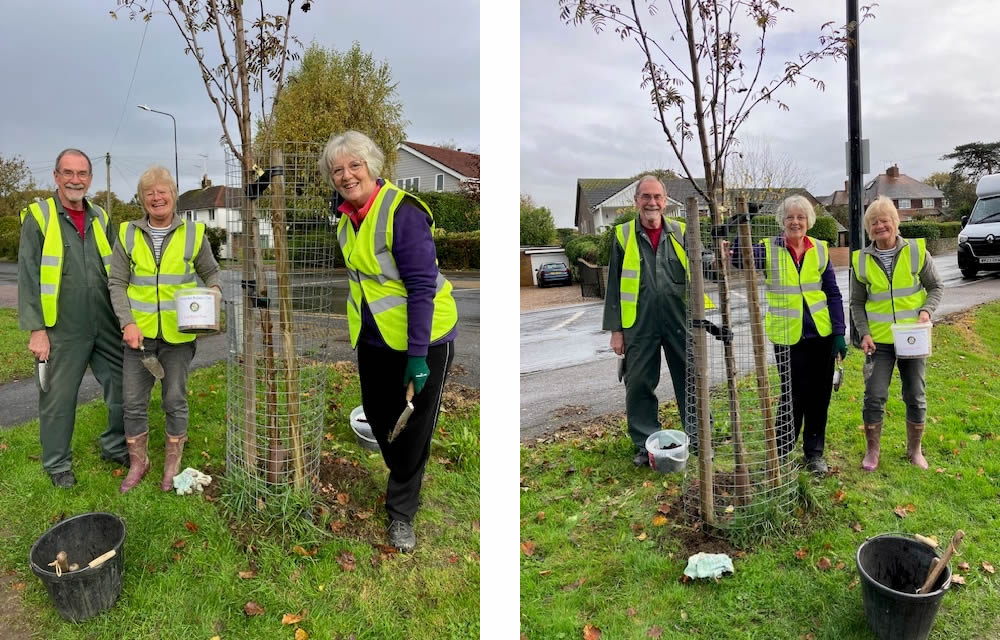 Tenterden Wildlife planting the Tenterden Rotary Club crocus bulbs in St Michaels