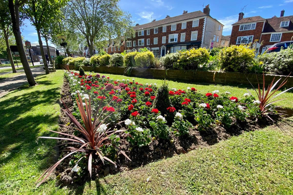 East Cross Gardens, Tenterden