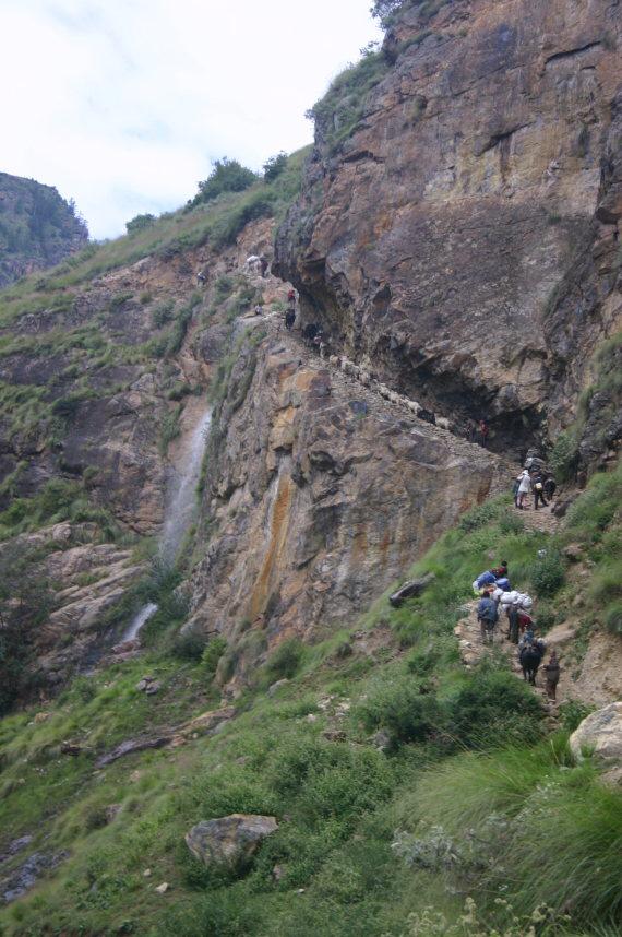 Yaks carrying food by mountain on way to Muchu School 