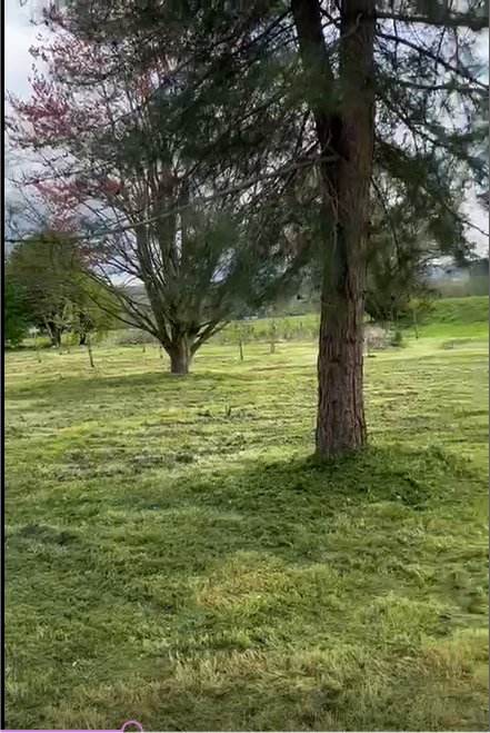 The Arboretum's Spring Cut.