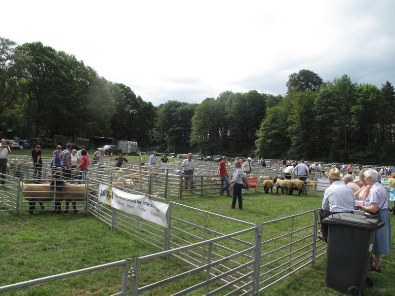 Dalkeith Agricultural Show 2014 - 011 65