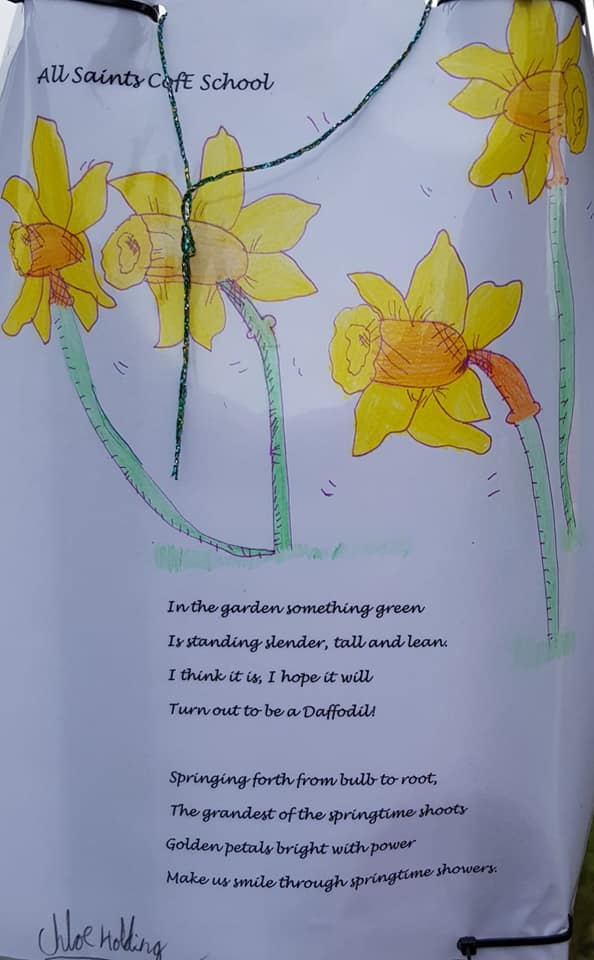 A Host of Golden Daffodils - 07BAEFFF-B874-4A78-99F6-5341191D697D