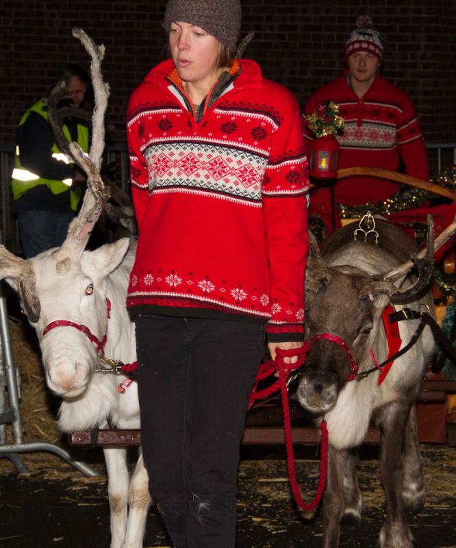 Reindeer Parade - December 2013 - 131206 131206 Rotary Reindeer 005