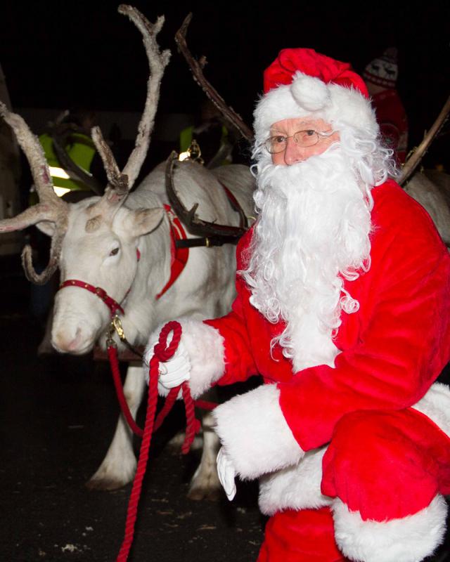 Reindeer Parade - December 2013 - 131206 131206 Rotary Reindeer 013