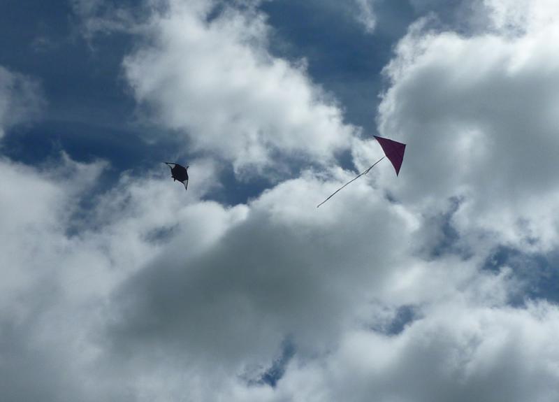 Jun 2013 Kids Out Day at Wimpole Hall and Farm - 12 Kites up high