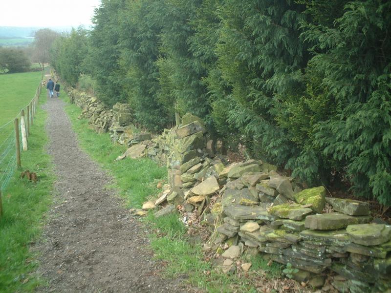 Calverley Millennium Way - Derelict boundary wall