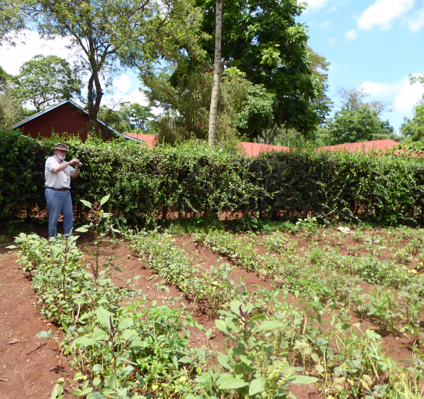 2015: Visit to Tanzania - Childreach garden at Njiapanda School