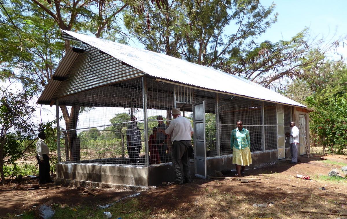 2015: Visit to Tanzania - Chicken Hut at Msandaka School