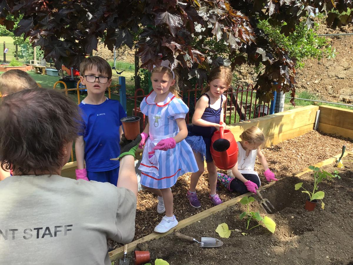 Vegetable Garden at St Mary's School - 
