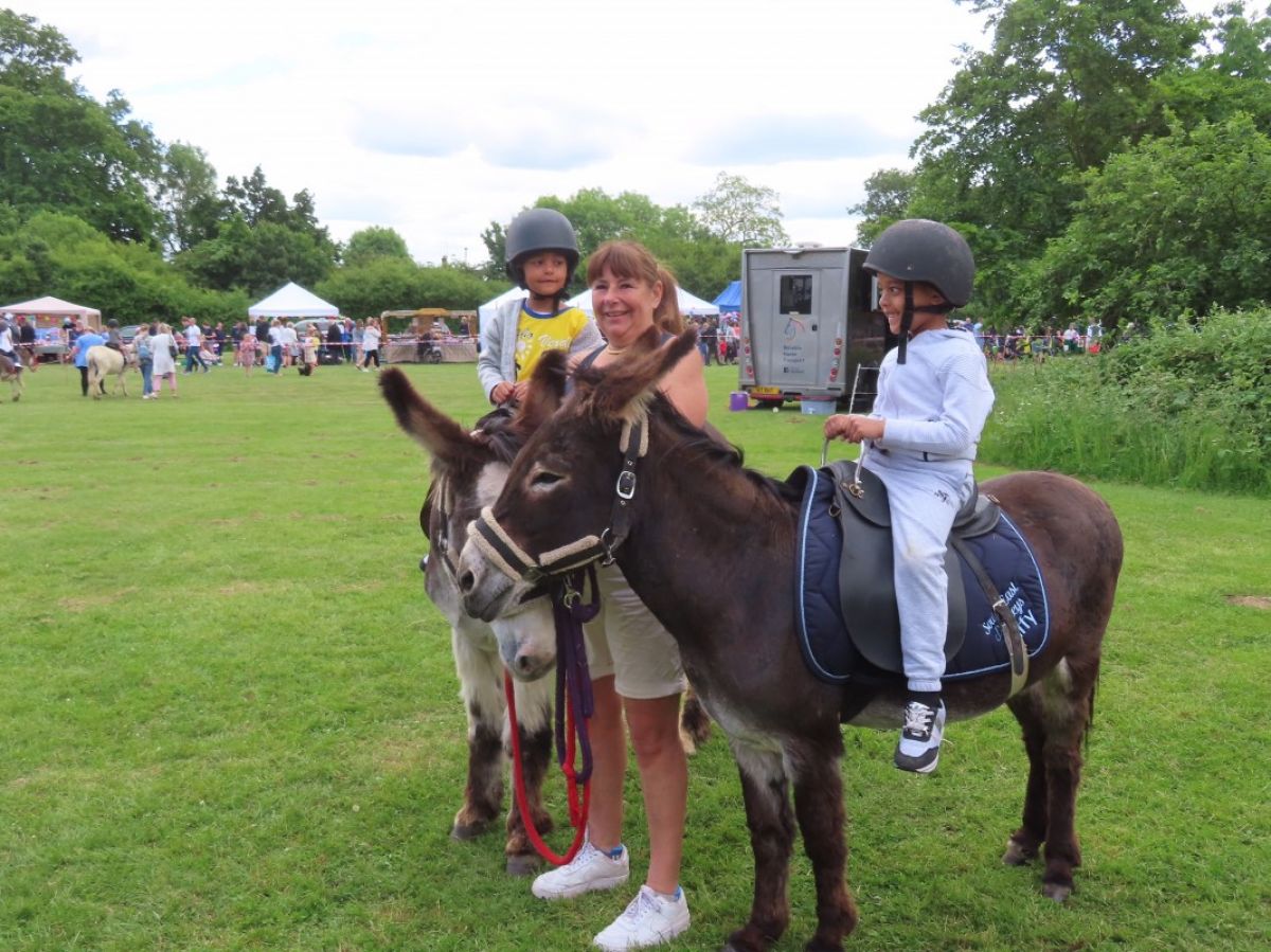 ALMOST The Donkey Derby - 
