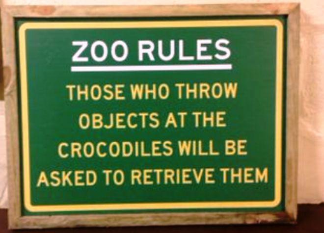 Springfield Pupils Visit Crocodiles of the World - 