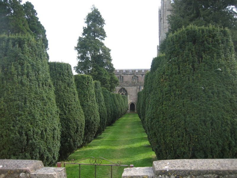 Walking weekend 2009 - Clipped yew trees planted by Lutyens at Mells church