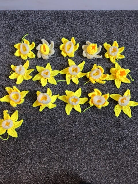 A Host of Golden Daffodils - 46F46EAD-182B-4E21-B2DE-57E0F5F88818