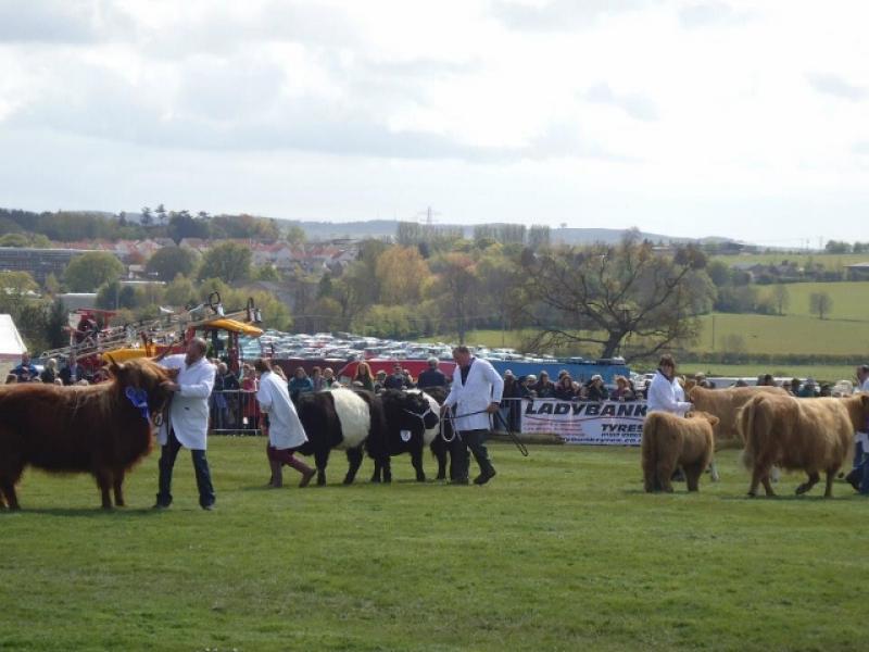 Rotaract student helps at Fife Show - 599553 357465084318903 526057487 n (640x480) 1