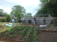 The Martins Garden - Helping Mental Health - All hands on deck