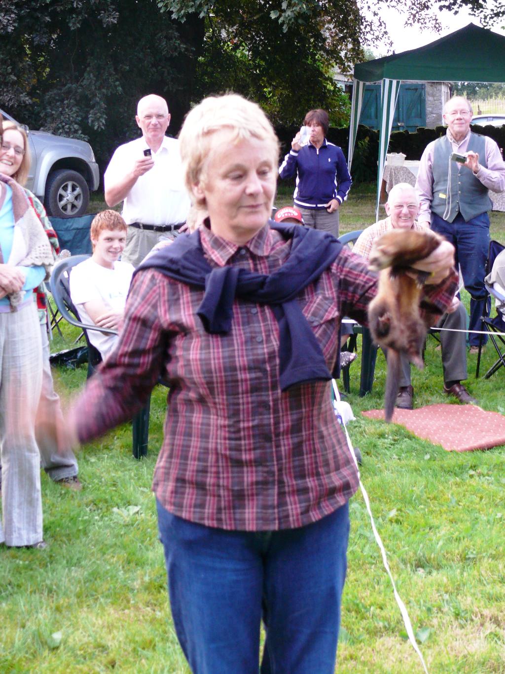 Fun & Frolics with Ferrets - At arms length they are!