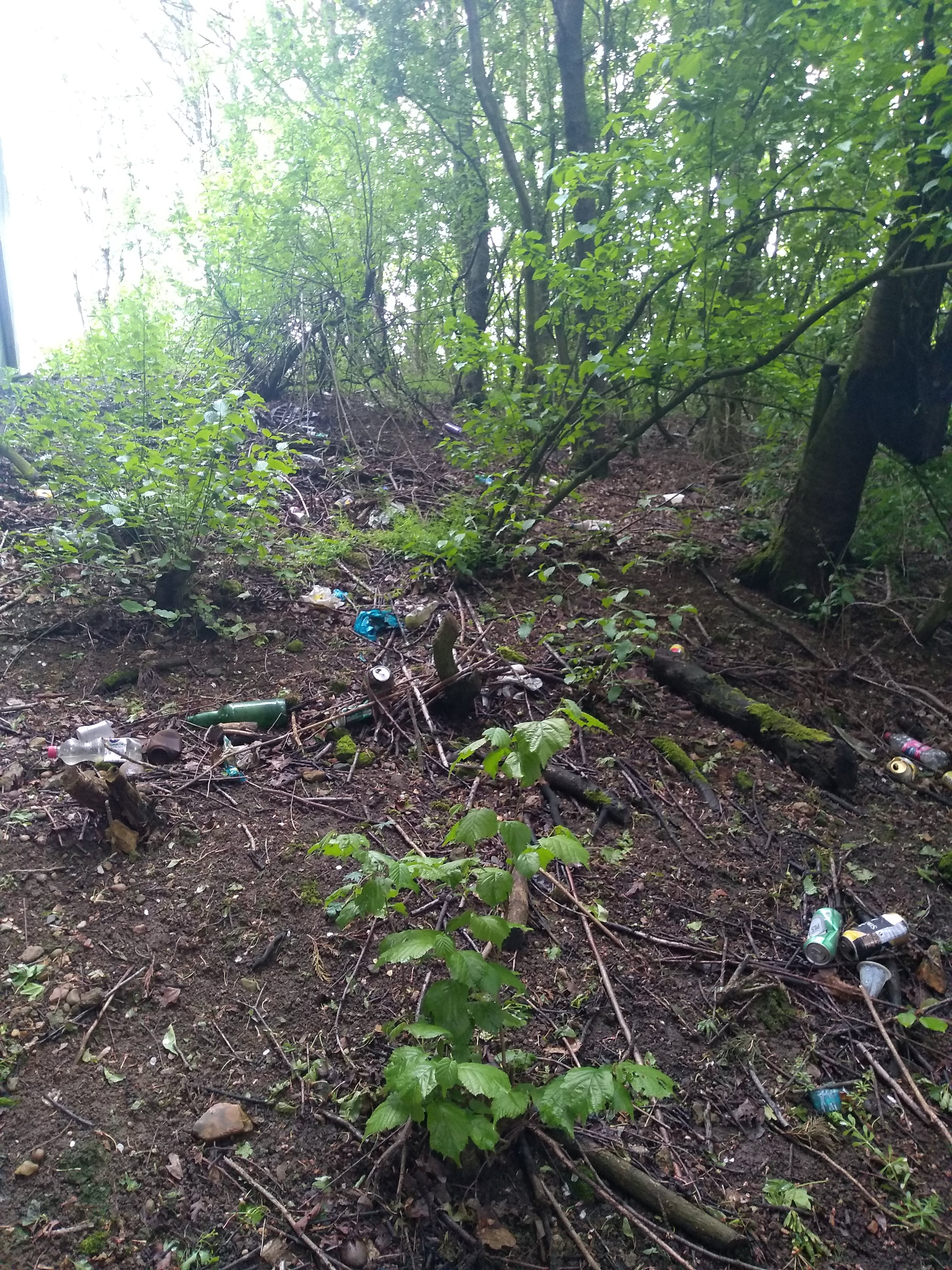 Litter pick 15th May - Before(1)