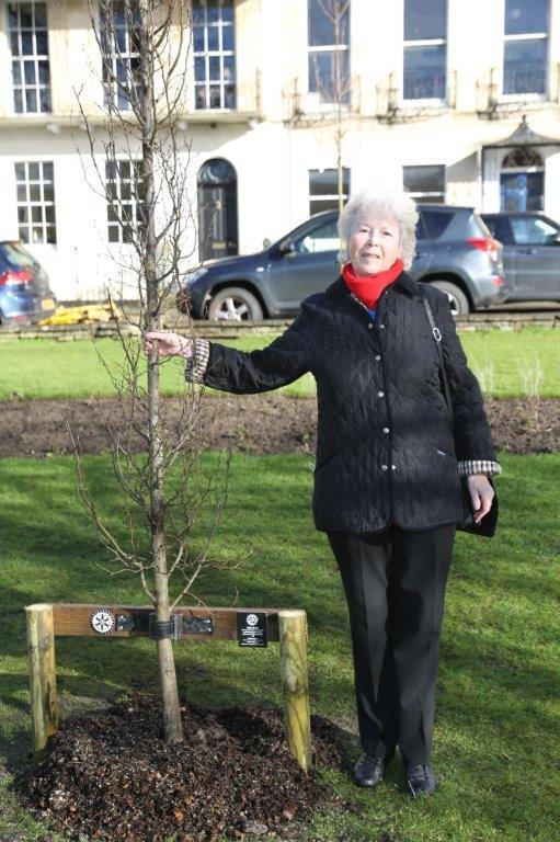 Centenary Trees  - Ann Carter with her Tree