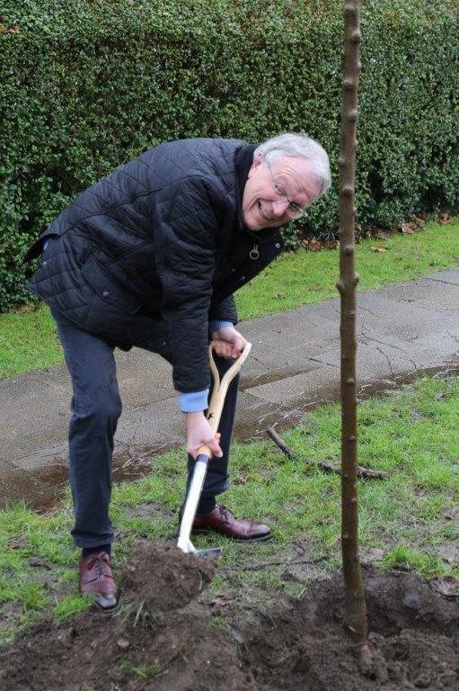 Centenary Trees Project Pictures - Pittville Holst