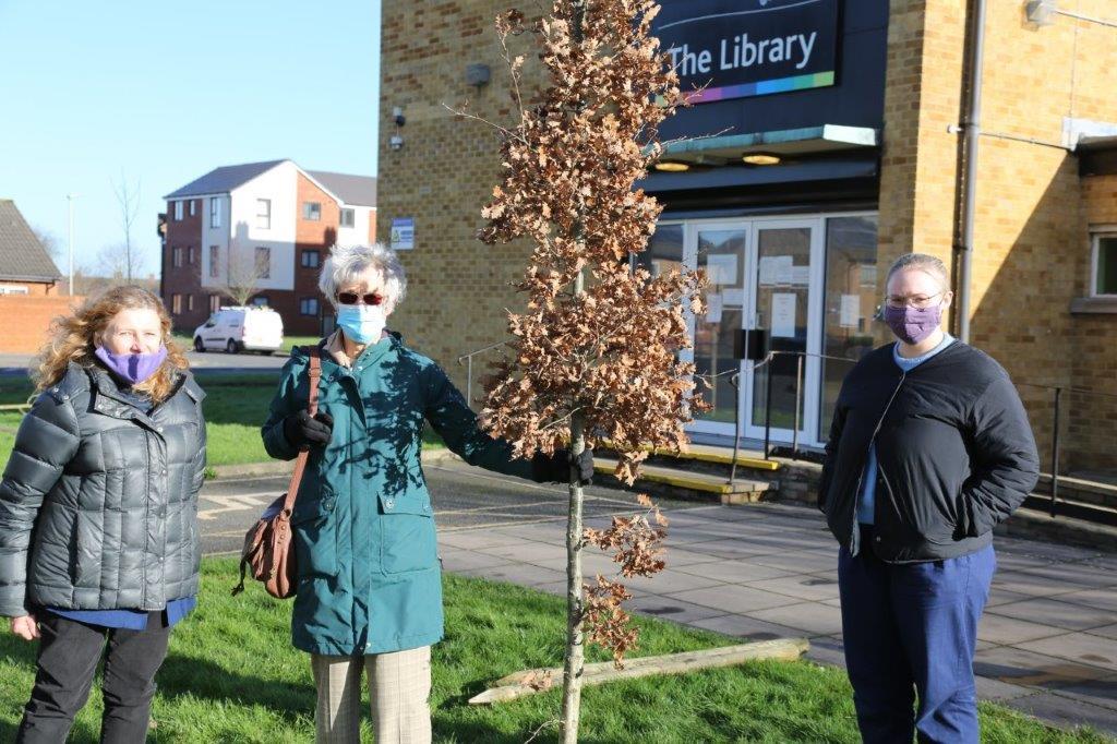 Centenary Trees  - Plantings by Janet Keenan and Family
