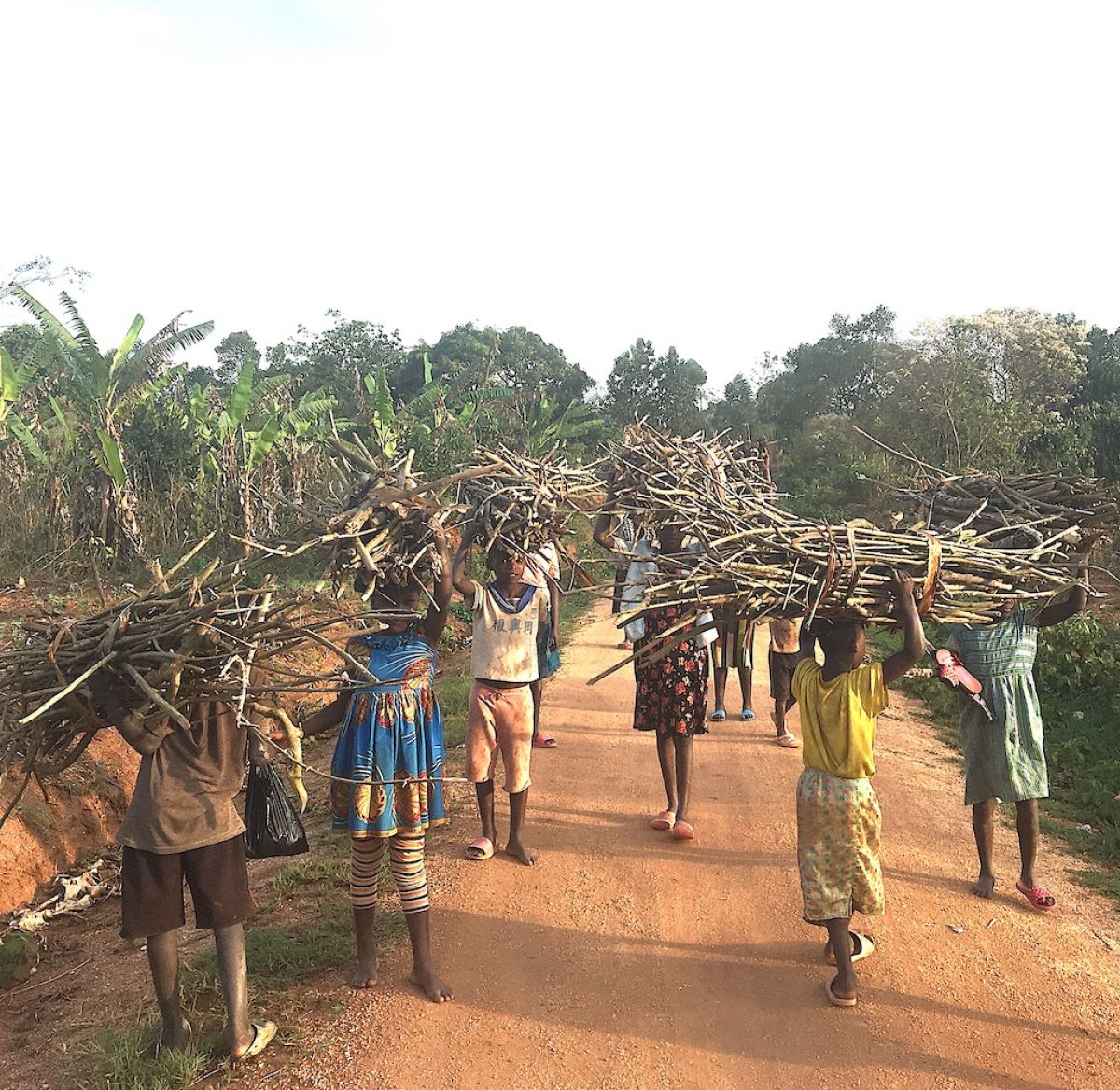 Success stories from Mubende - children collecting firewood - there is safety in numbers