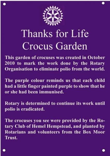 We are that close - End Polio Now! - End Polio now - Crocus Garden