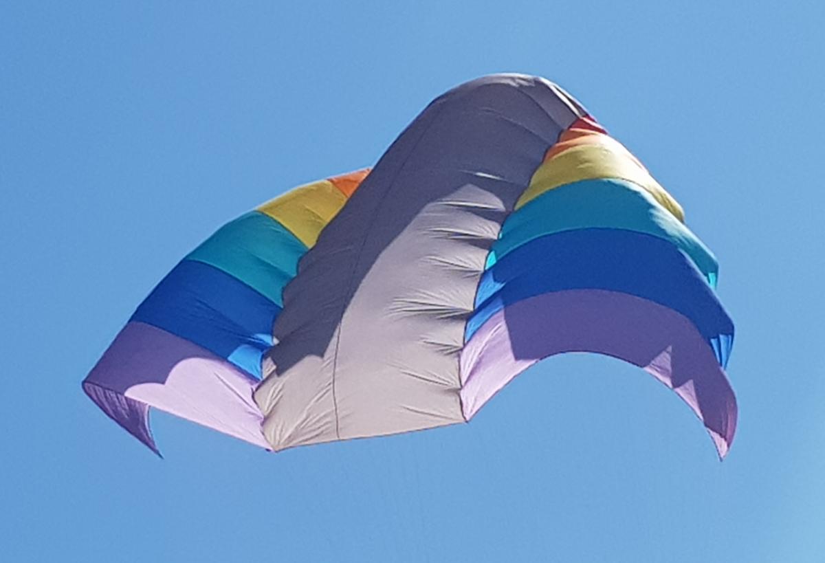 District Governor's Newsletter - August 2018 - Flying high at Royston Kite Festival
