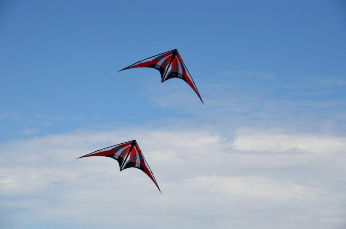 Royston Kite Festival - 