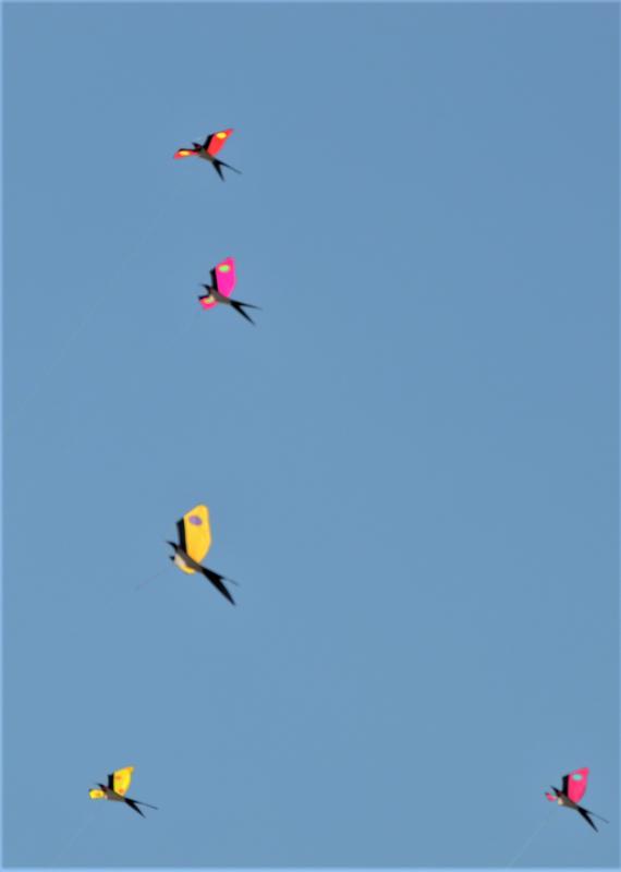 Royston Kite Festival - 