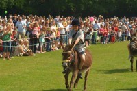  Donkey Derby  - The race leader.