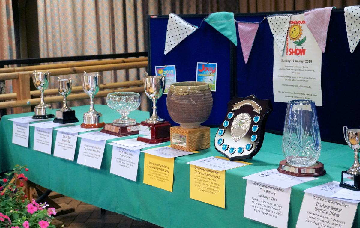 Stonehouse Horticultural Show - 