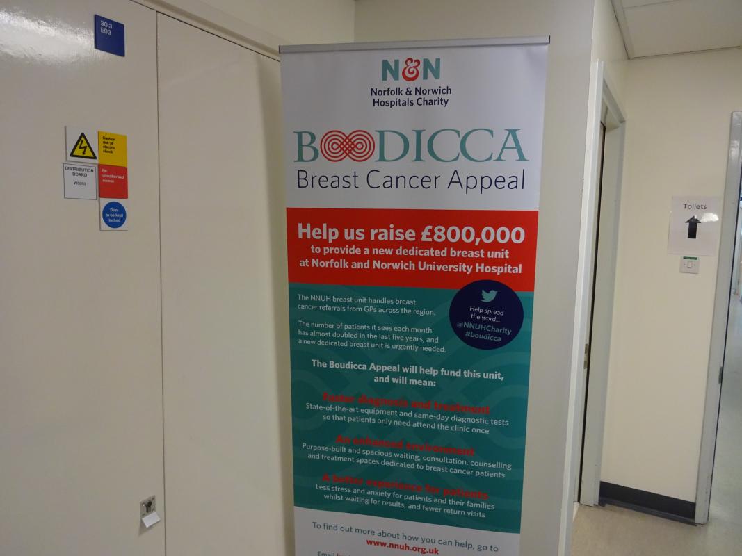 Boodicca Breast Cancer Appeal 18 07 2019 Rotary Club Of Norwich