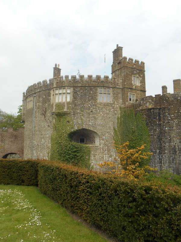 Visit to Walmer Castle - DSCN2301-800