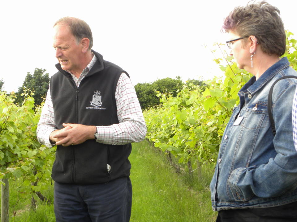 Visit to Gifford's Hall Vineyard - Guy Howard explains the finer points of viticulture