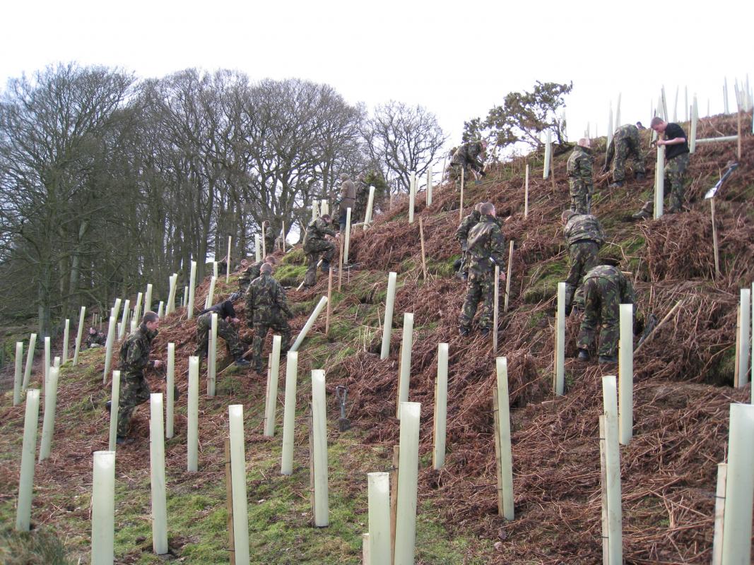 Trees For Nidderdale (Carbon Balance) - 