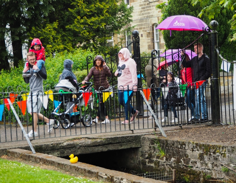 Penicuik in the Park on 25th May 2019 - Duck Race 8 Lone Duck