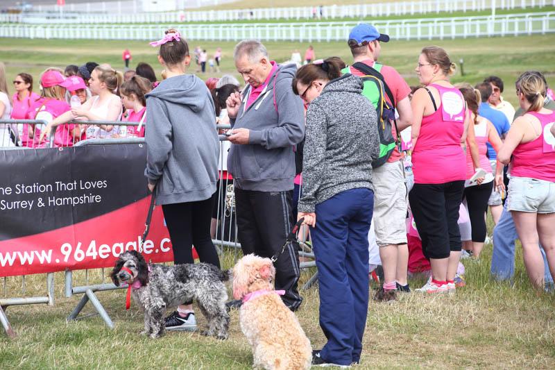 Race for Life 2015 raise Â£256,000 - Epsom-5161