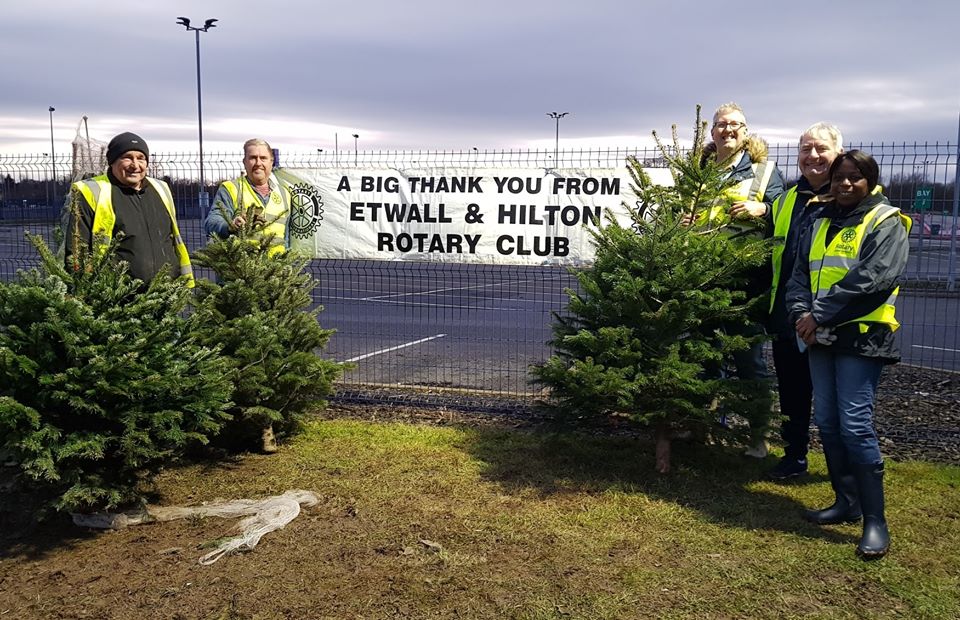 Derby Rotary Satellite - Each year we support the sale of Christmas Trees at the sale run by the Rotary Club of Etwall and Hilton