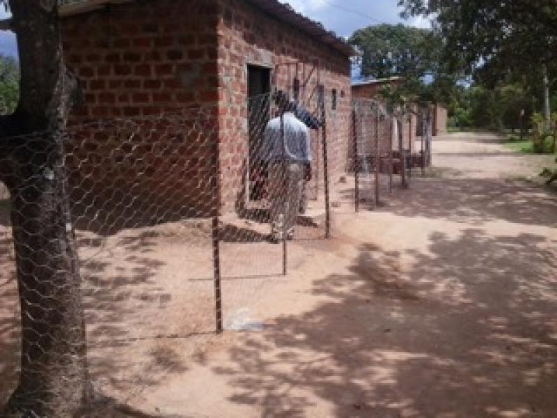 Our Work in Zambia - Chicken Consultant Patrick Mulumba undertaking a review of the fencing and chicken sheds. 