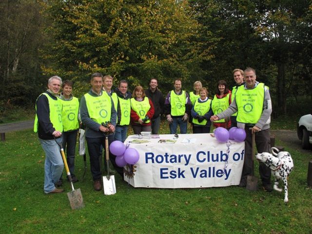 Esk Valley Rotary Focus On The Crocus At Roslin Glen - Esk Valley Rotary