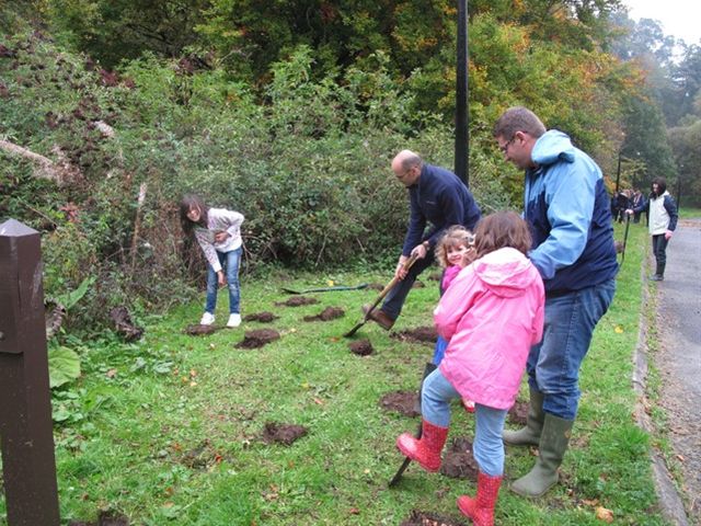 Esk Valley Rotary Focus On The Crocus At Roslin Glen - The Brownies & Rainbows helping with the Bulb Planting.