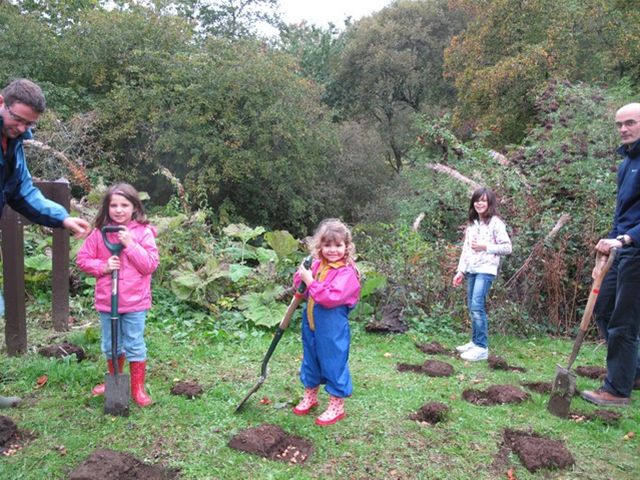 Esk Valley Rotary Focus On The Crocus At Roslin Glen - The Brownies & Rainbows helping with the Bulb Planting.