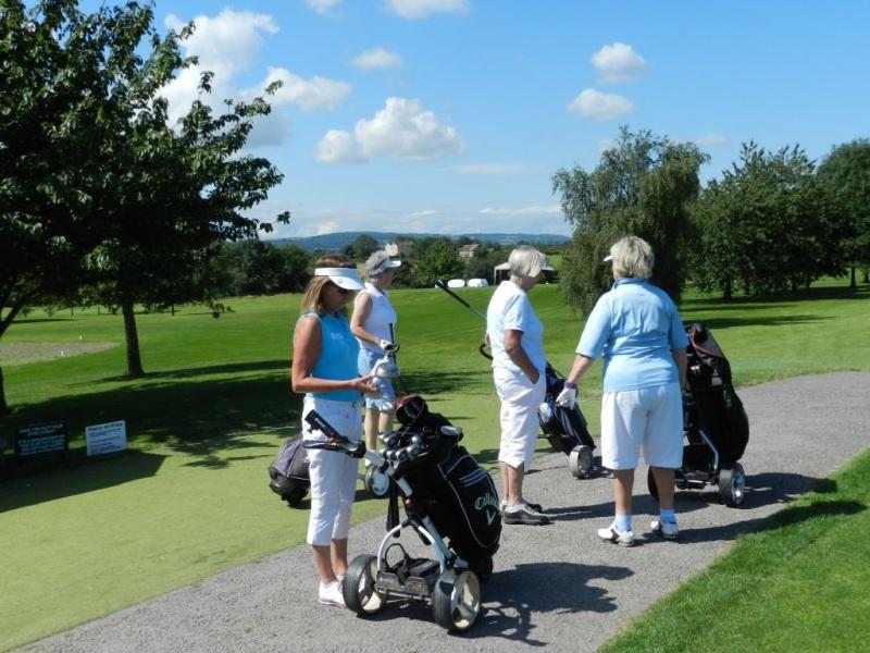 Charity Golf Day ~ Selection of Event Photos - Golf Day 2015 10