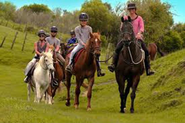 ROTARY AMBER VALLEY ANNUAL CHARITY HORSE RIDE  - 