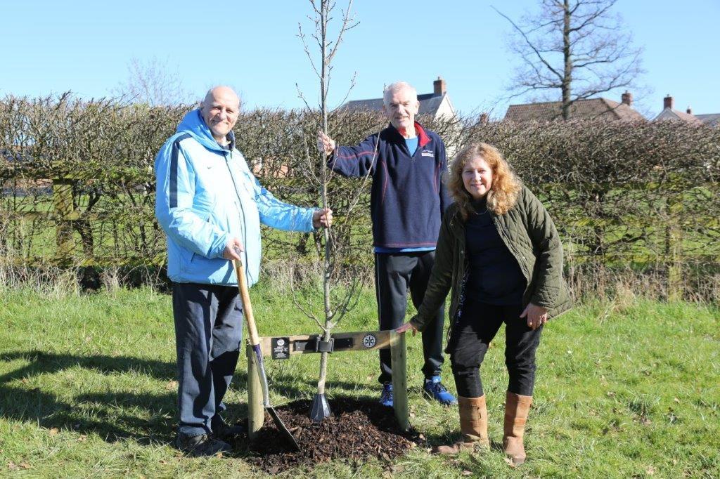 Centenary Trees Project Pictures - Hatherley Way