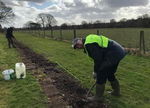 Wirral Hedge & Tree Planting - 