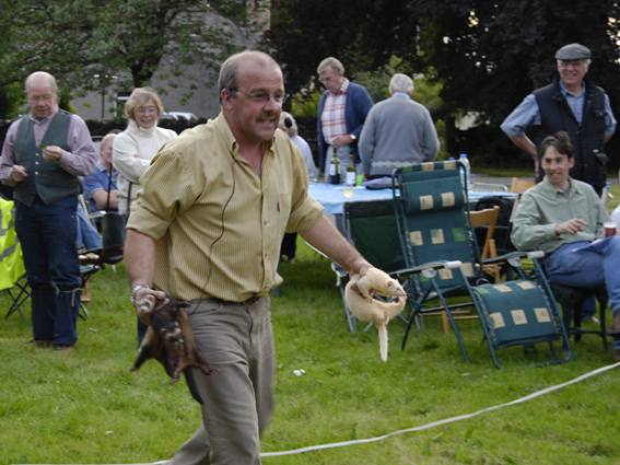 Fun & Frolics with Ferrets - Here come the frisky ferrets