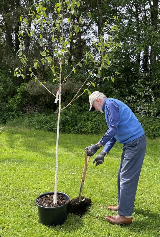 Tree planting in Troon to mark the 70th Anniversary of Troon Rotary - 