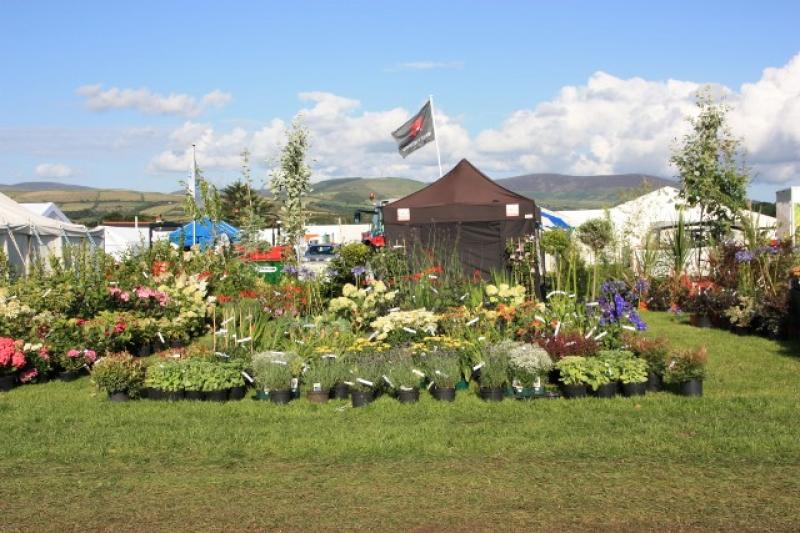 Royal Manx Agricultural Show - IMG 0682 (640x427)